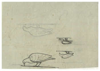 Visualizza l'immagine "FD D 367 r."